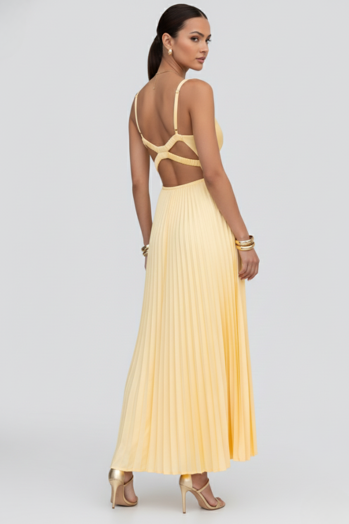 Fiona | Women’s V-Neck Pleated Skirt Maxi Dress Image